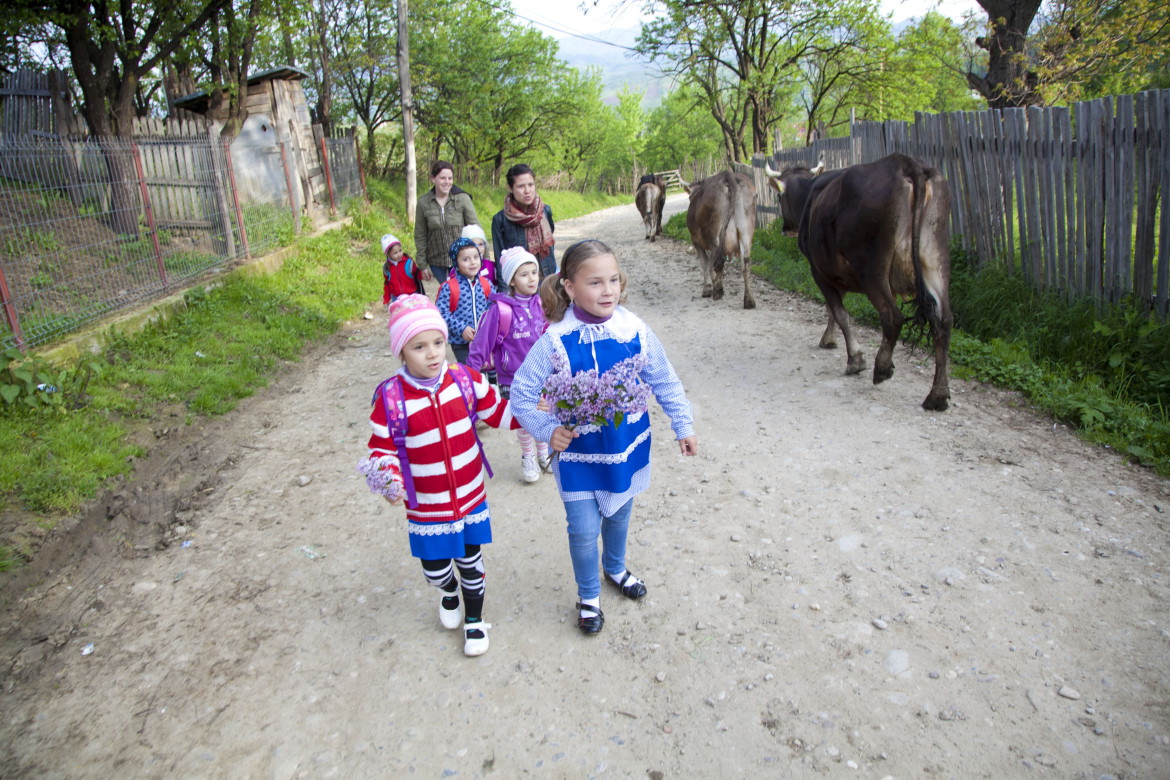 Asociatia Pro Vita Valea Plopului