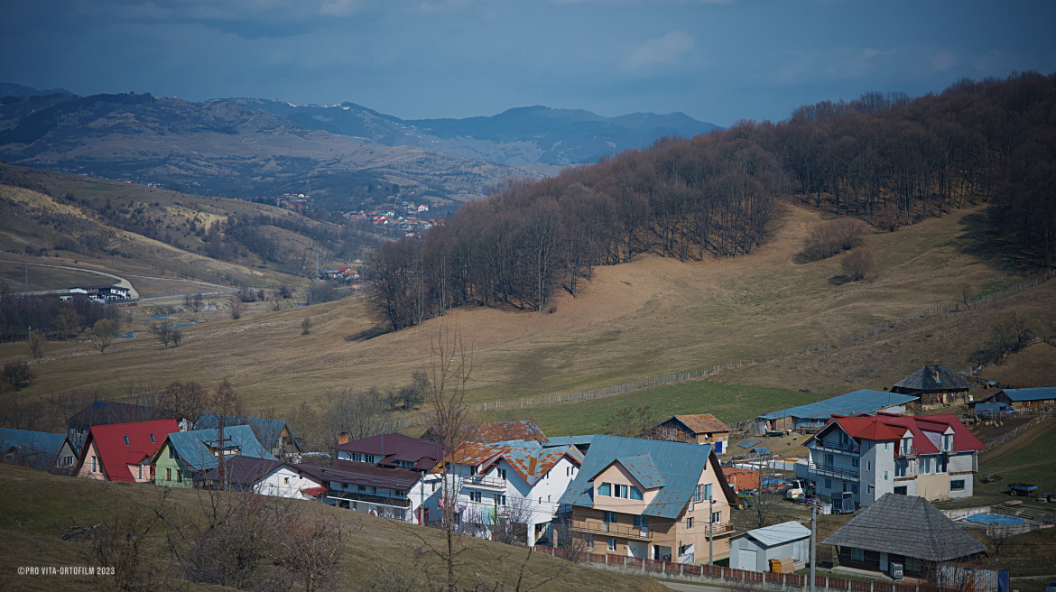Asociatia Pro Vita Valea Plopului