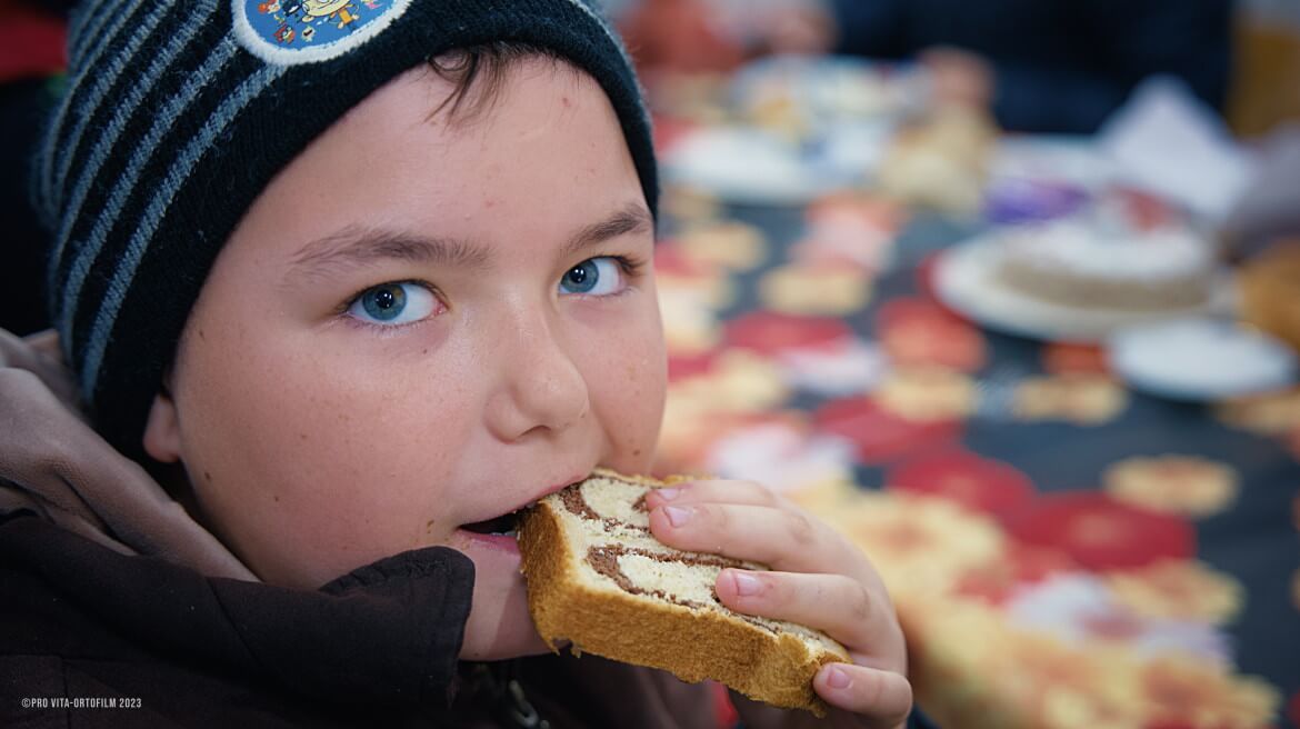 Asociatia Pro Vita Valea Screzii